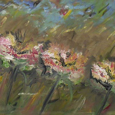Flores do Campo